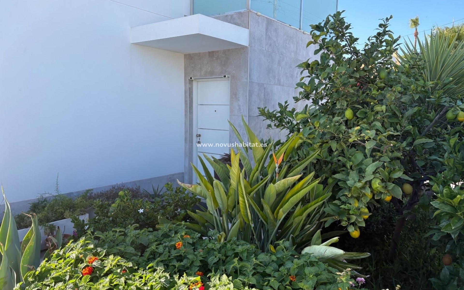 Wiederverkauf - Villa - Torrevieja - La Siesta - El Salado -  Torreta