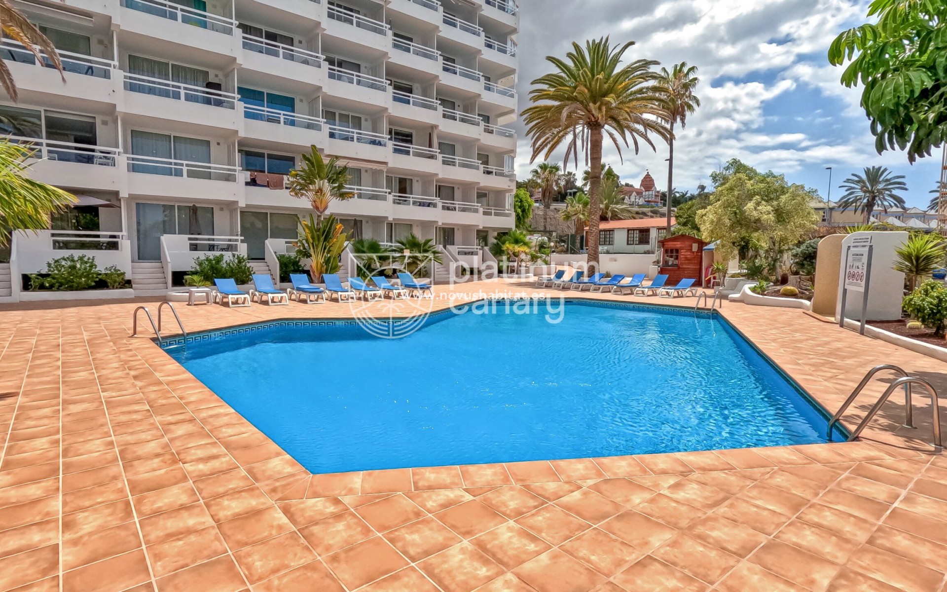 Wiederverkauf - Wohnung - Adeje - Santa Cruz Tenerife