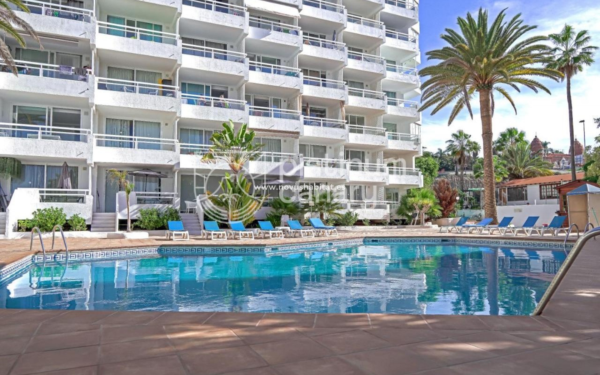 Wiederverkauf - Wohnung - Adeje - Santa Cruz Tenerife