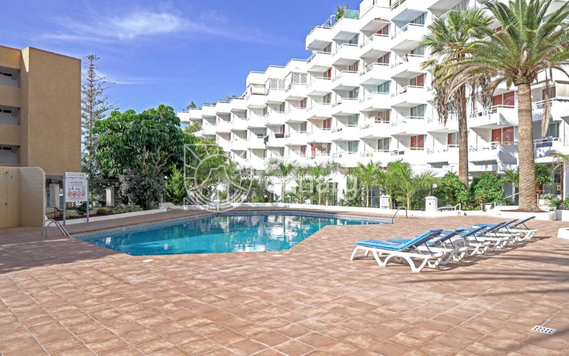 Wiederverkauf - Wohnung - Adeje - Santa Cruz Tenerife