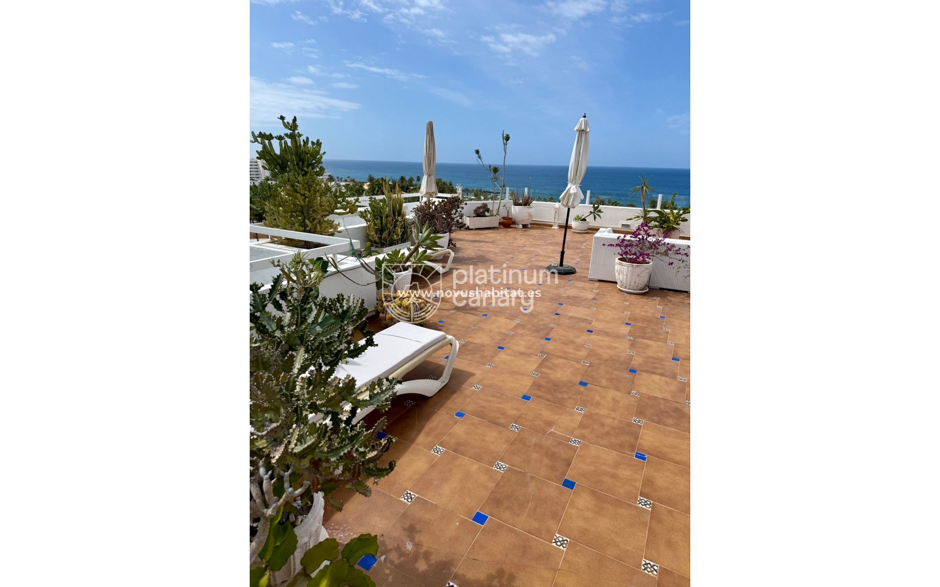 Wiederverkauf - Wohnung - Adeje - Santa Cruz Tenerife