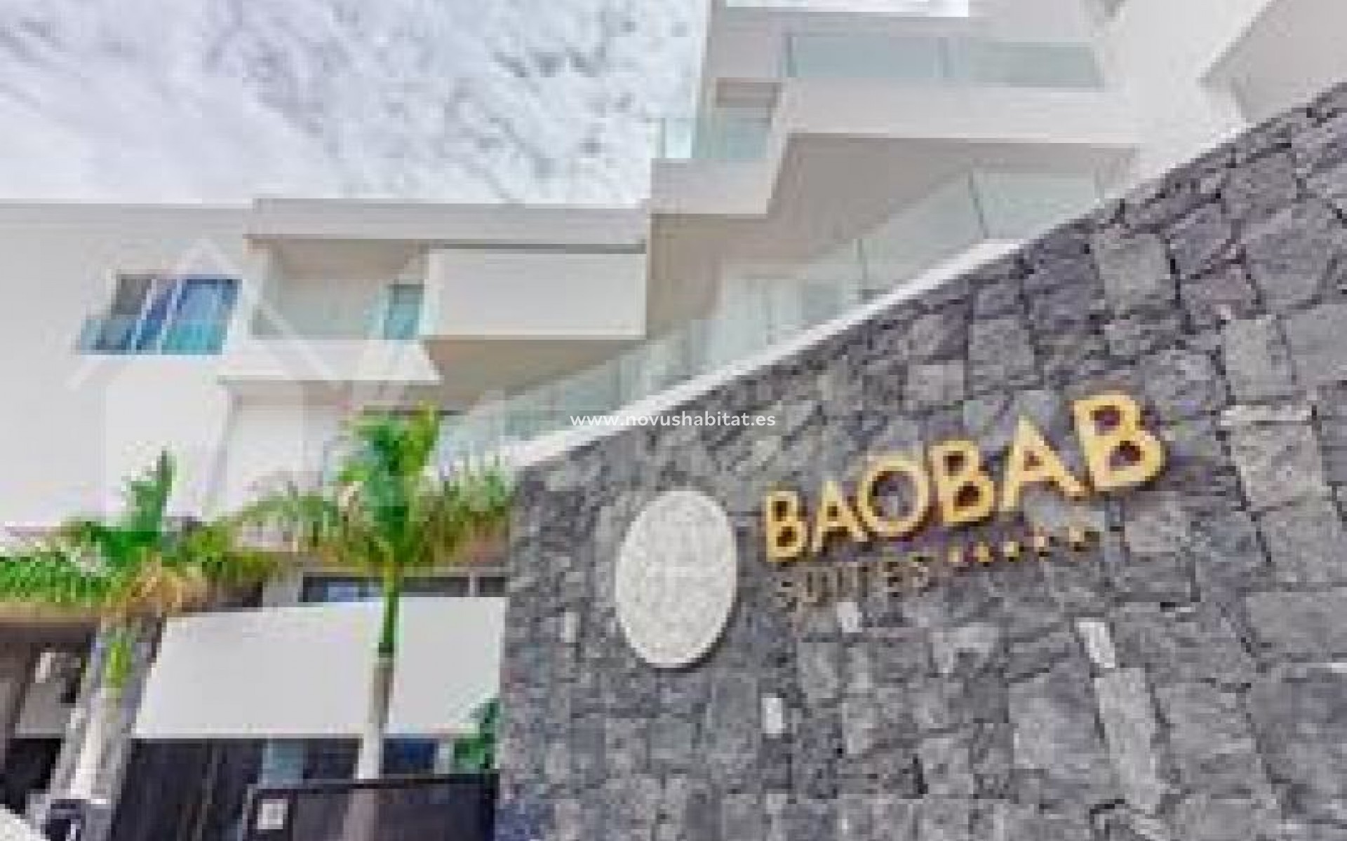 Wiederverkauf - Wohnung - Costa Adeje - Baobab Costa Adeje