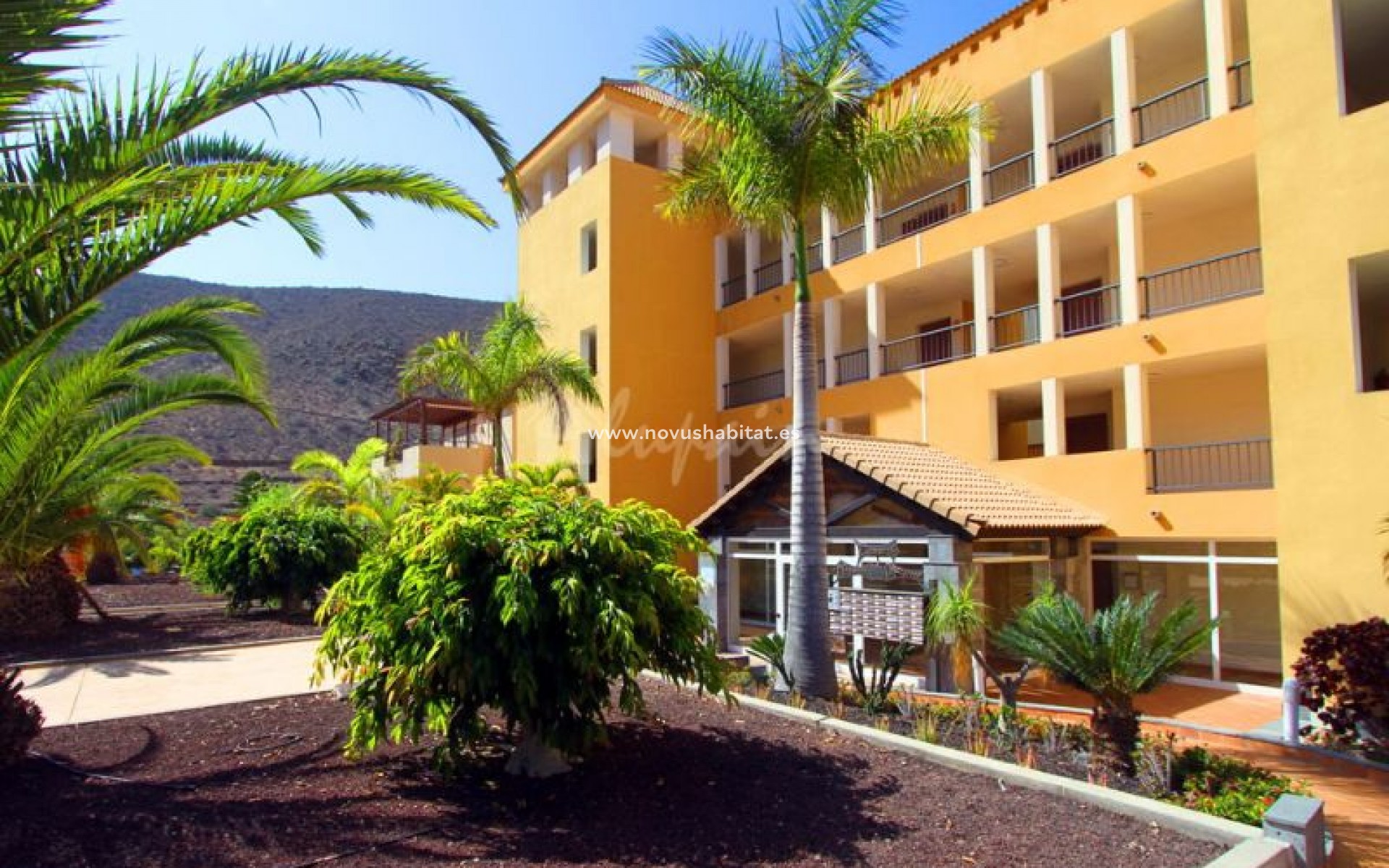 Wiederverkauf - Wohnung - Los Cristianos - El Rincon Los Cristianos Tenerife