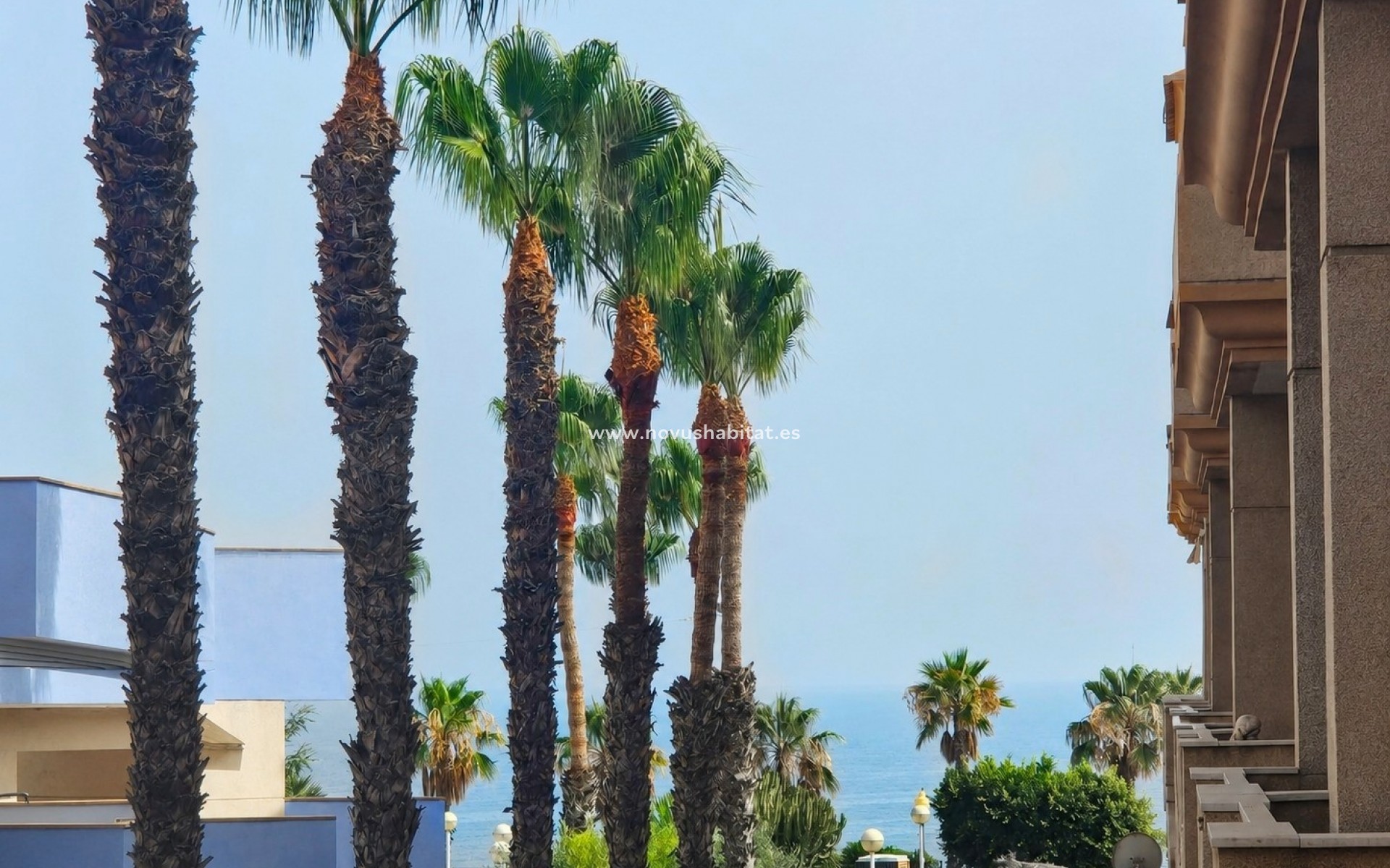 Wiederverkauf - Wohnung - Orihuela Costa - Aguamarina
