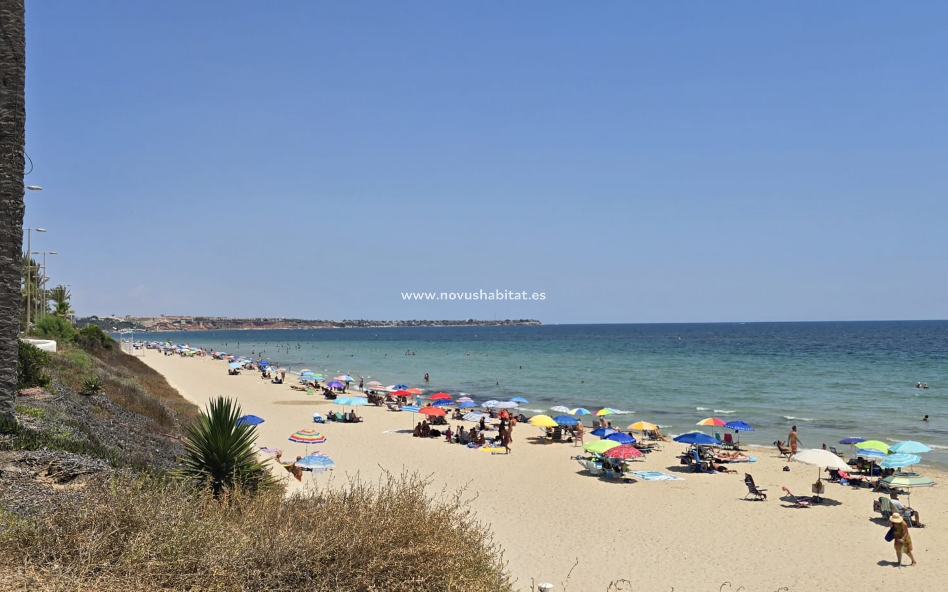 Wiederverkauf - Wohnung - Orihuela Costa - Mil Palmeras