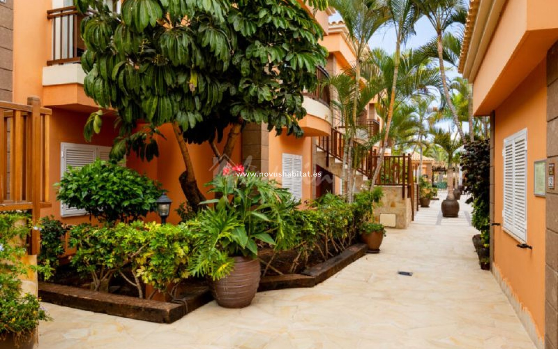 Wiederverkauf - Wohnung - Playa De Las Americas - Green Garden Resort Las Americas Tenerife