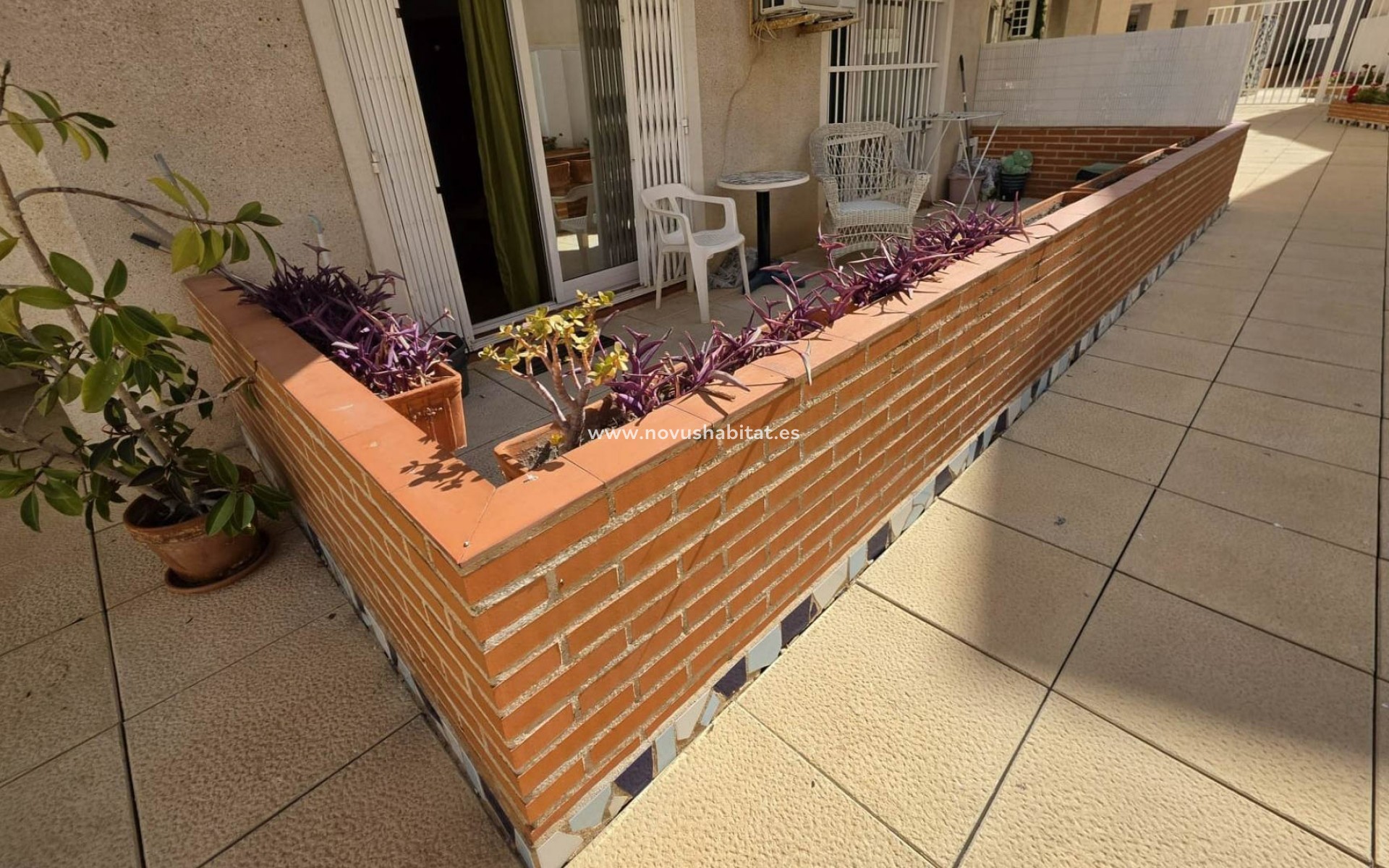 Wiederverkauf - Wohnung - Torrevieja - Habaneras