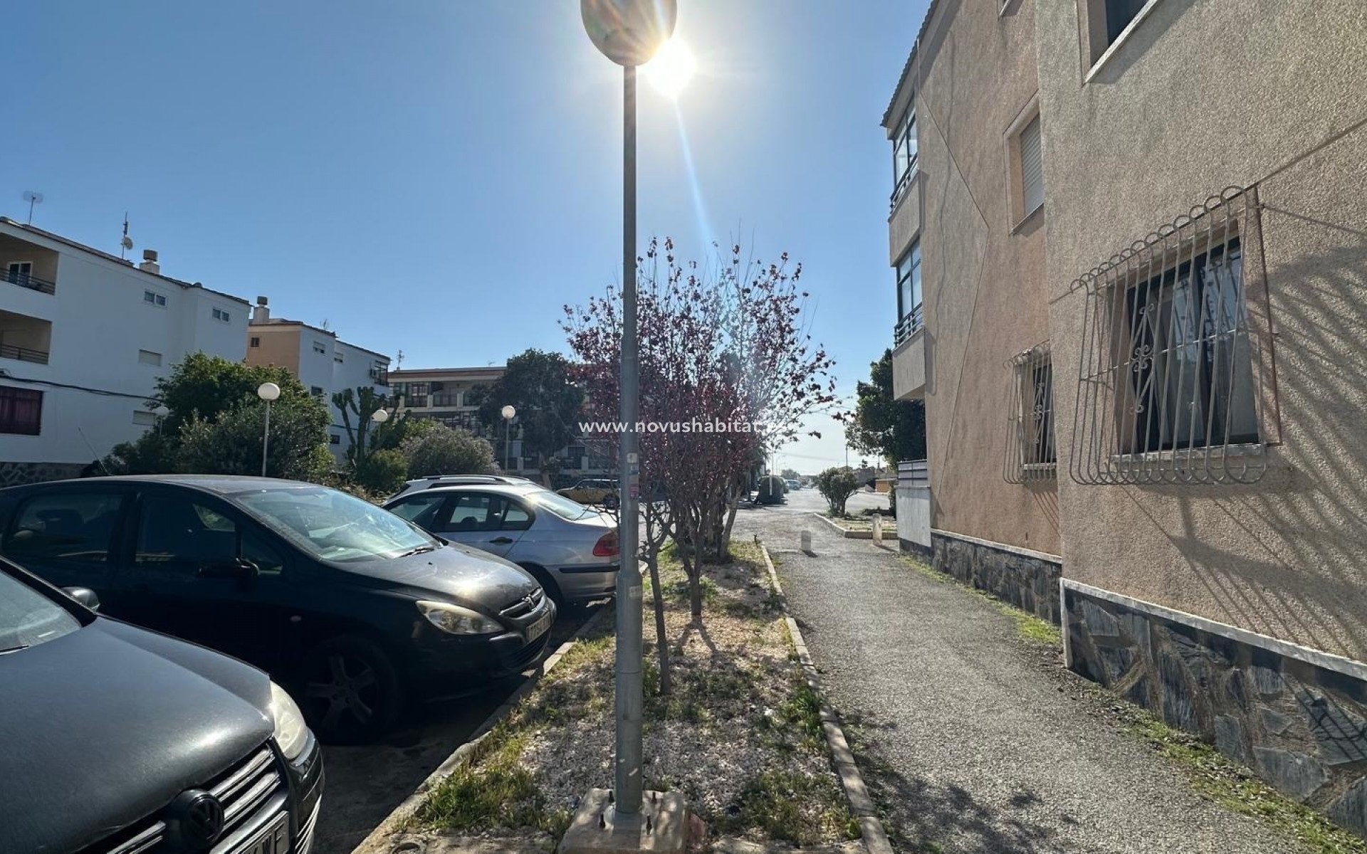 Wiederverkauf - Wohnung - Torrevieja - 