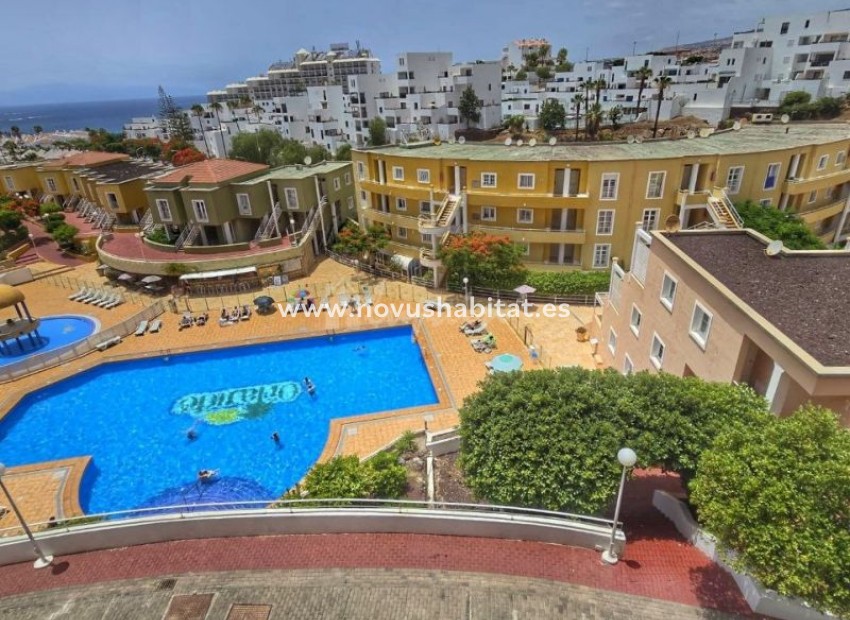 Wiederverkauf - Wohnung - Torviscas - Orlando Torviscas Tenerife