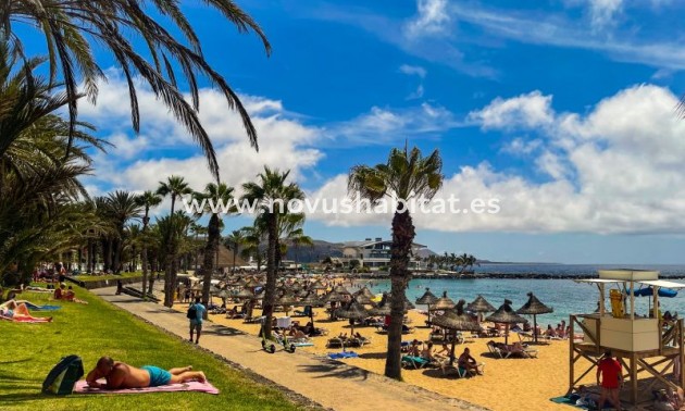 Wohnung - Wiederverkauf - Costa Adeje - Costa Adeje