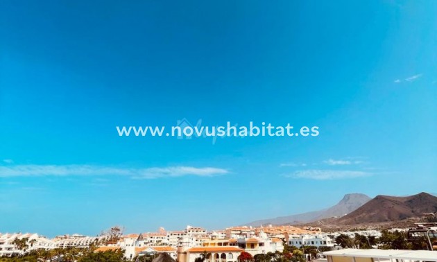 Wohnung - Wiederverkauf - Los Cristianos - El Mirador Los Cristianos Tenerife