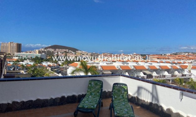 Wohnung - Wiederverkauf - Los Cristianos - El Mirador Los Cristianos Tenerife