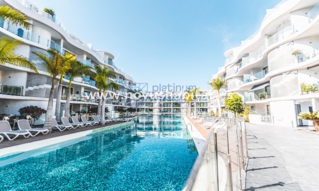 Wohnung - Wiederverkauf - Palm Mar - Santa Cruz Tenerife