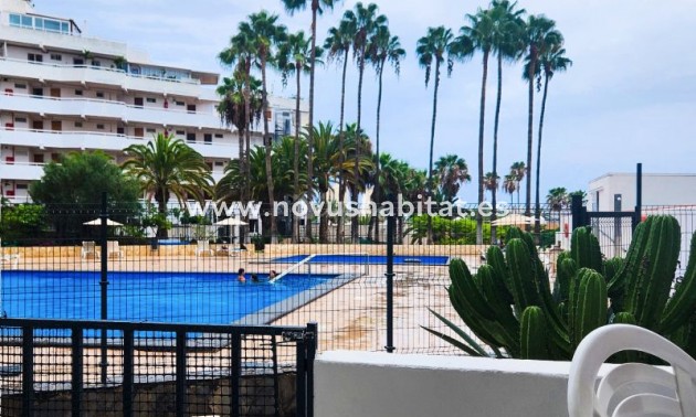 Wohnung - Wiederverkauf - Playa De Las Americas - Vina Del Mar Playa De Las Americas Tenerife