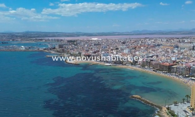 Wohnung - Wiederverkauf - Torrevieja - CI-24006