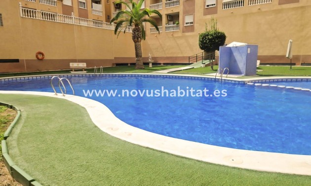 Wohnung - Wiederverkauf - Torrevieja - Parque de las Naciones