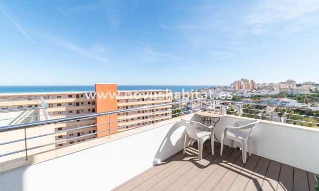 Wohnung - Wiederverkauf - Torrevieja - Torrelamata - La Mata